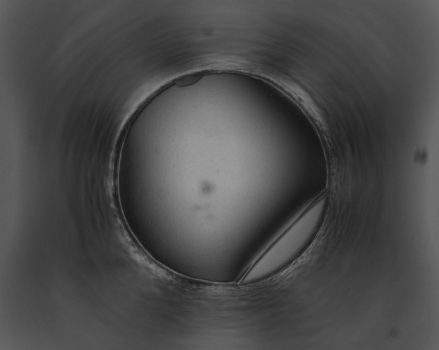 X0000091180904200708301214