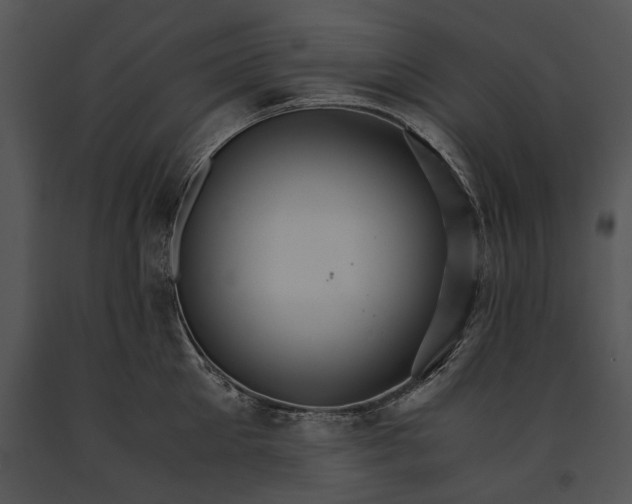 X0000091180905200708301214