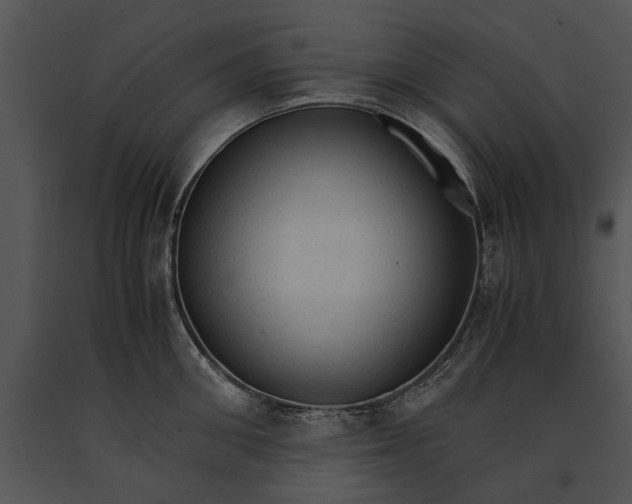 X0000091180906200708301214