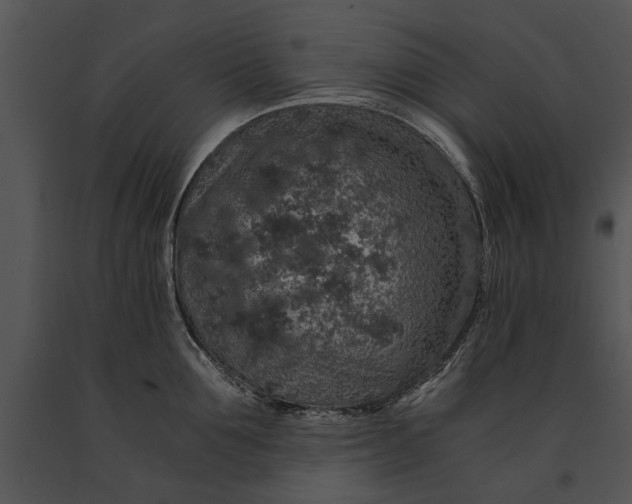 X0000091180907200708301214