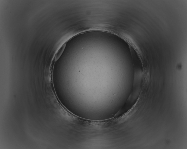 X0000091180908200708301214