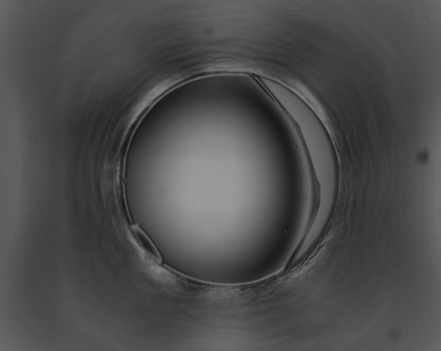 X0000091180909200708301214