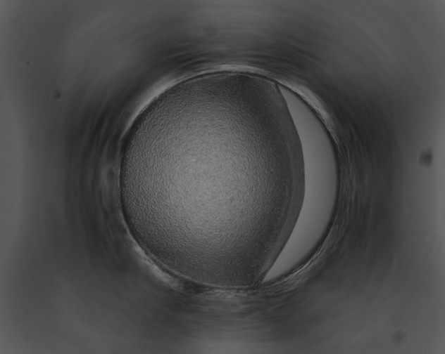 X0000091180910200708301214