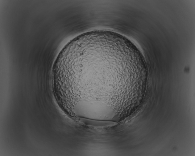 X0000091180911200708301214