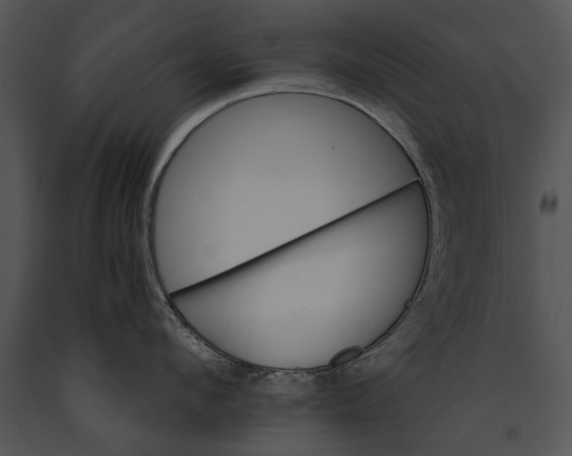 X0000091180912200708301214