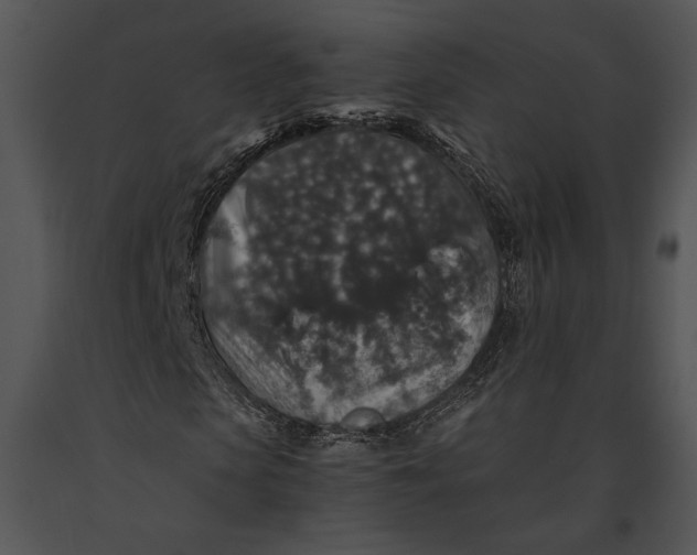 X0000091180913200708301213