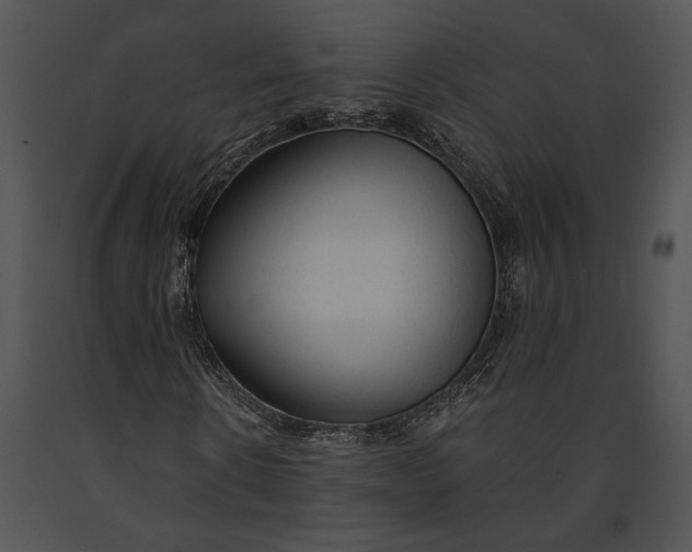 X0000091180914200708301213