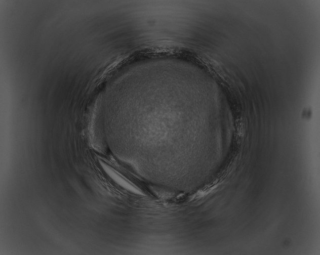 X0000091180916200708301213