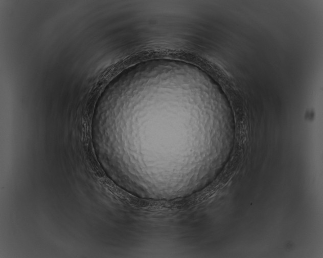 X0000091180917200708301213