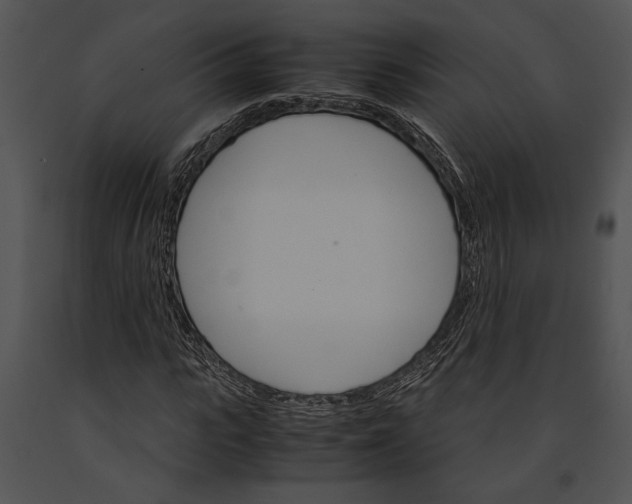 X0000091180919200708301213