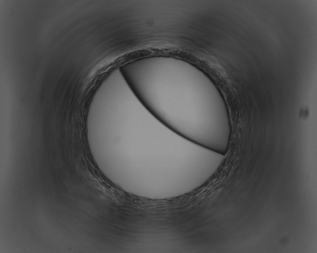 X0000091180920200708301213