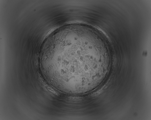 X0000091180921200708301213