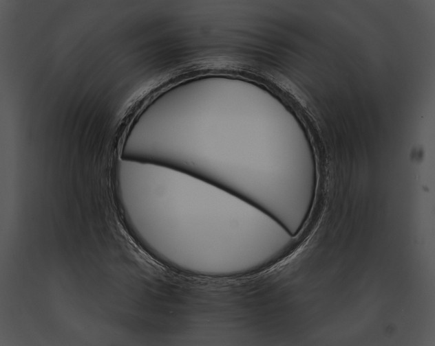 X0000091180922200708301213