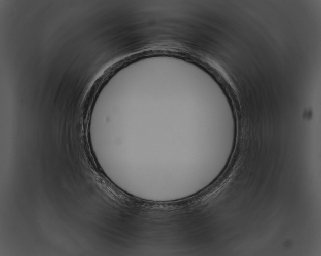 X0000091180923200708301213