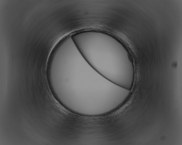 X0000091180924200708301213