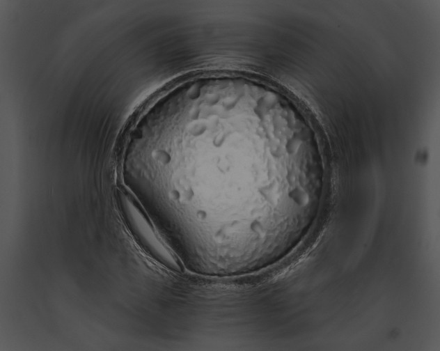 X0000091180925200708301213