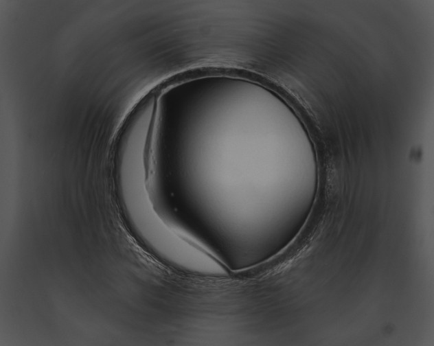 X0000091180926200708301213