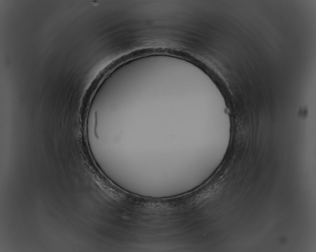 X0000091180927200708301213