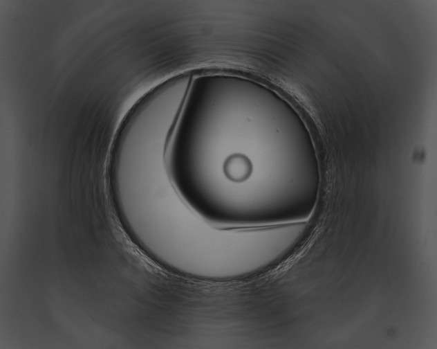 X0000091180928200708301213