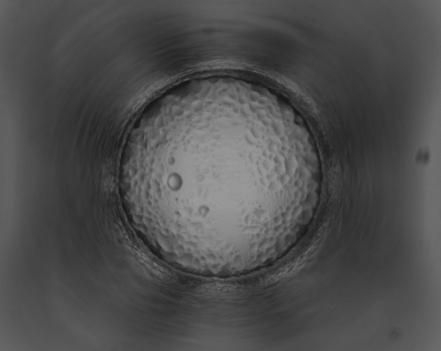 X0000091180929200708301213