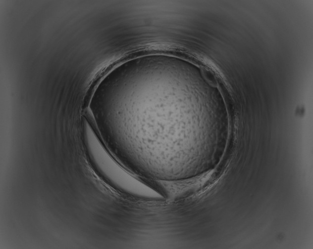 X0000091180930200708301213