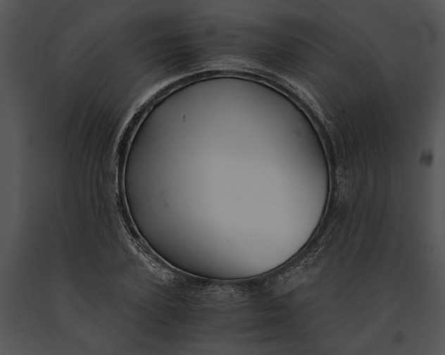 X0000091180931200708301213