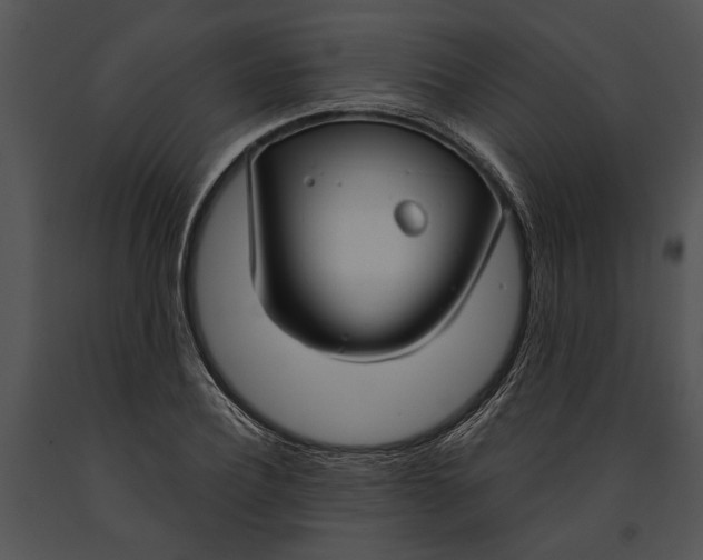 X0000091180932200708301213