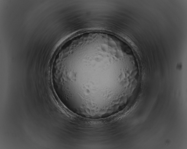 X0000091180933200708301213