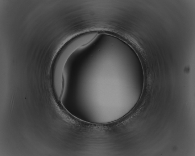 X0000091180934200708301214