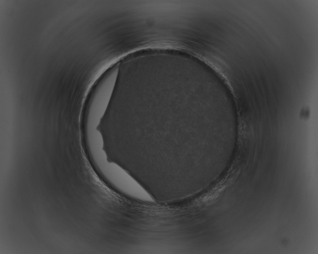 X0000091180935200708301214