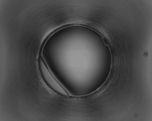 X0000091180936200708301214