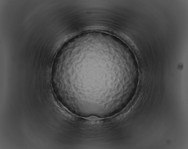 X0000091180937200708301214