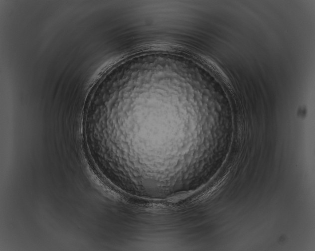 X0000091180938200708301214