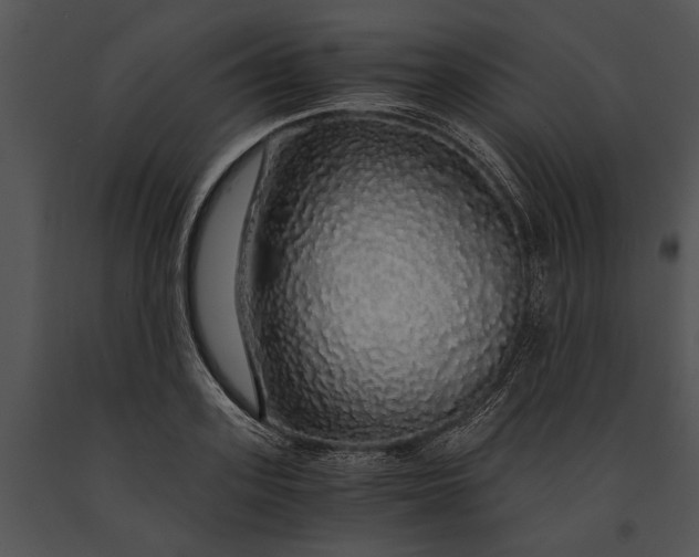 X0000091180939200708301214