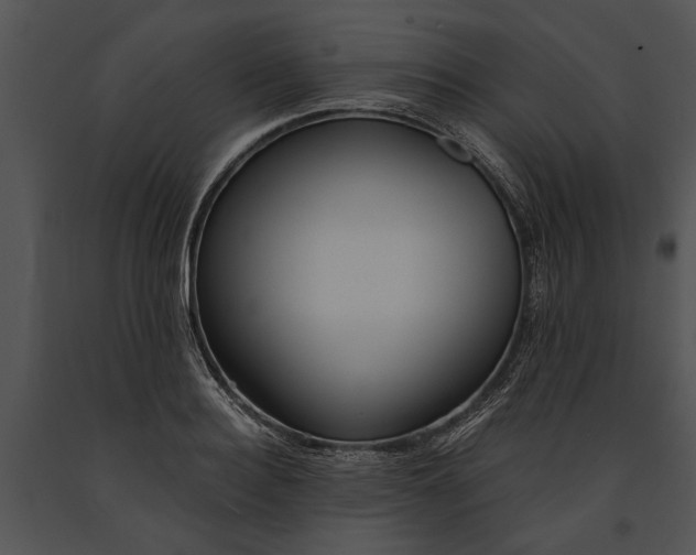 X0000091180940200708301214