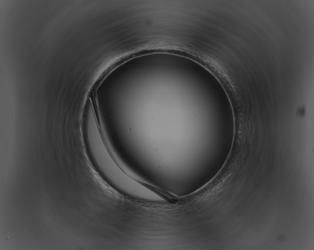 X0000091180942200708301214