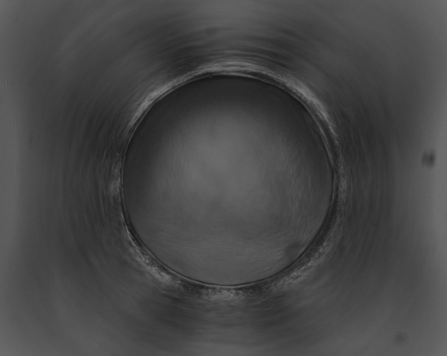 X0000091180945200708301214