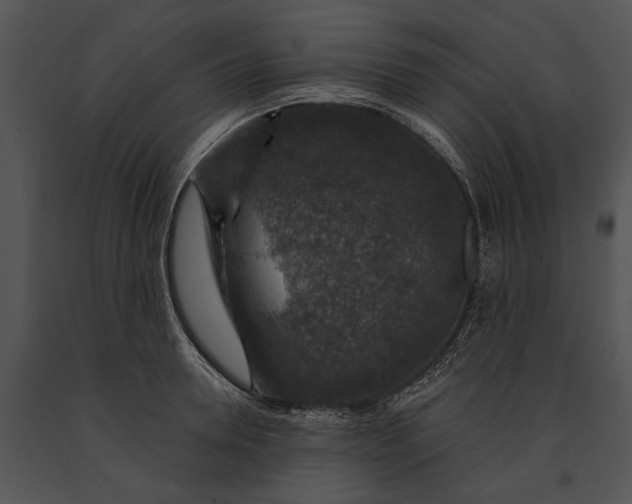 X0000091180946200708301214