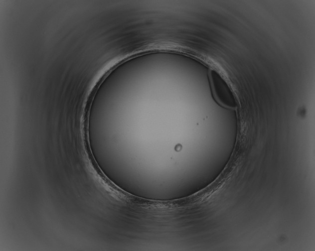 X0000091180947200708301214