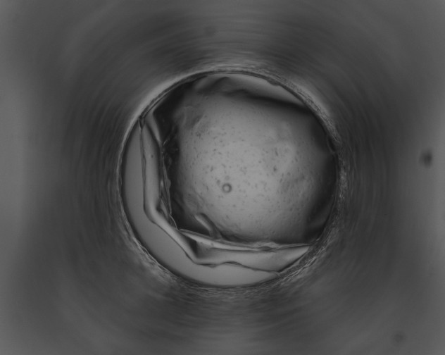 X0000091180948200708301214