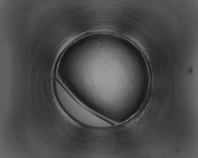 X0000091180949200708301214