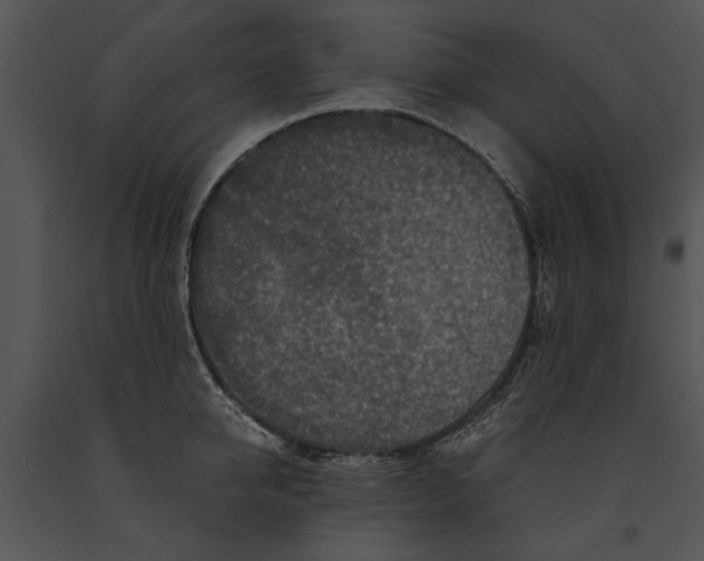 X0000091180950200708301214