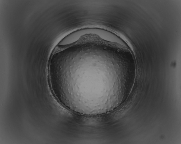 X0000091180951200708301214