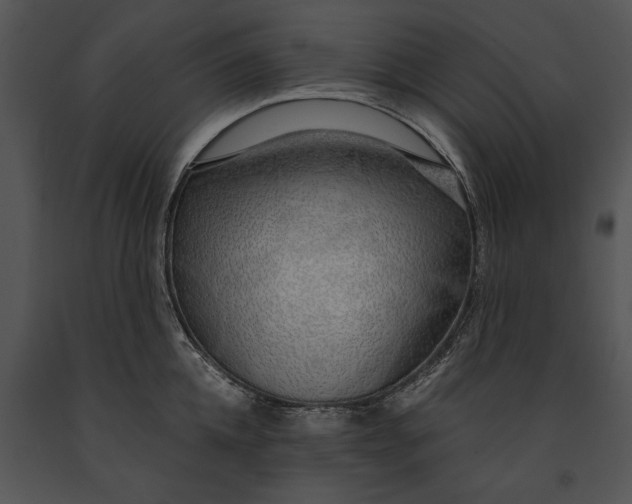 X0000091180952200708301214