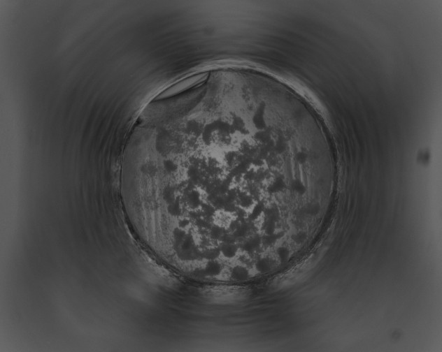 X0000091180953200708301214