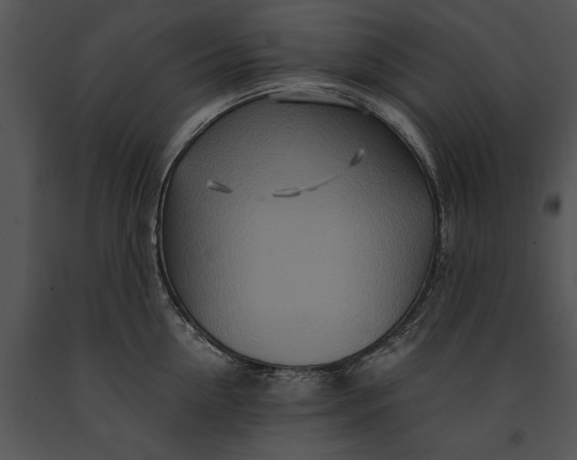 X0000091180954200708301214