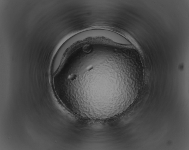 X0000091180955200708301214