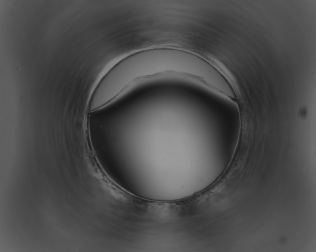 X0000091180956200708301214