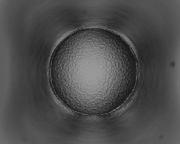 X0000091180957200708301214