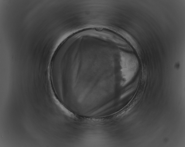 X0000091180958200708301214